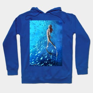 Free Diver and the Fish Shoal Hoodie